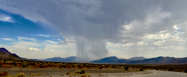 Monsoon season in the Mojave